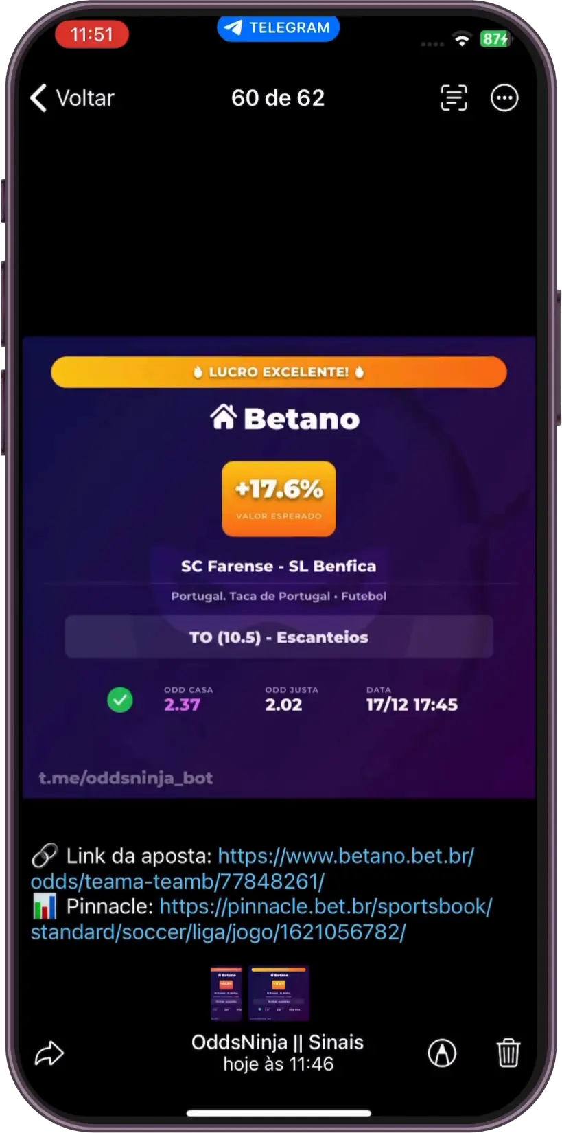 Demonstração do bot